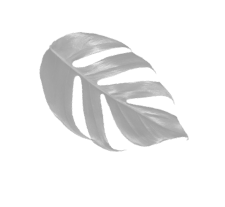 leaf-1