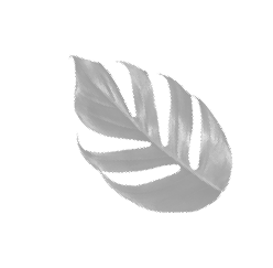 leaf-2